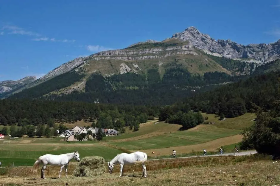 Chalet Du Champ Martel Villard-de-Lans 0*,